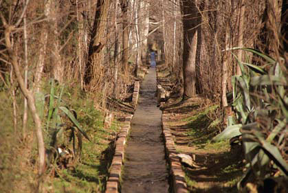 Nieu Bethesda - Water Furrows